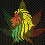 Best Music Reggea Rasta for PC Best Music Reggea Rasta for PC