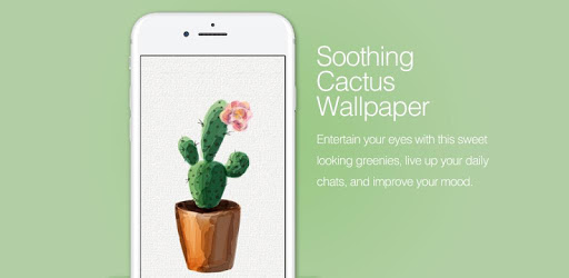 Soothing Cactus Wallpaper HD PC screenshot