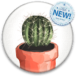Soothing Cactus Wallpaper HD for PC