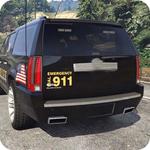Police Car Driving: Simulator in USA icon