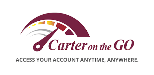 Carter on the Go PC screenshot