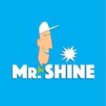 Mr.Shine for PC