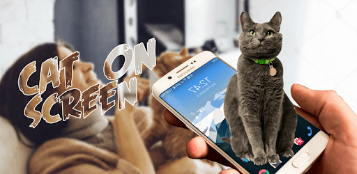Kitten on screen joke PC screenshot Kitten on screen joke PC screenshot