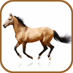 Horse Breeds Database for PC