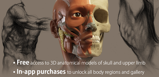 3D Anatomy for the Artist PC screenshot