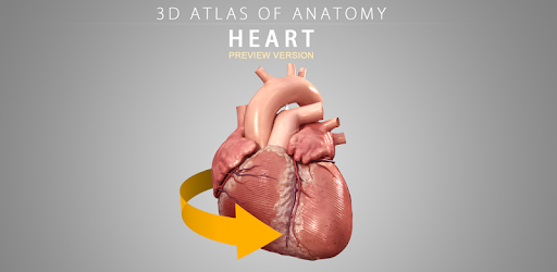 Heart 3D Anatomy Lite PC screenshot