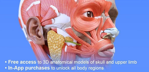 Muscle | Skeleton - 3D Atlas of Anatomy PC screenshot