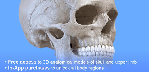 Skeleton | 3D Anatomy PC screenshot