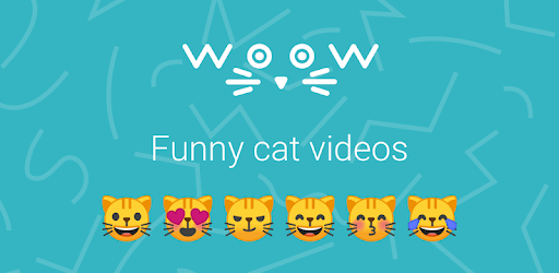WooW Cats - Funny cat videos app PC screenshot