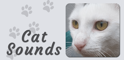 Cat Sounds PC screenshot Cat Sounds PC screenshot