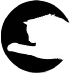 Simple cat toy laser for PC