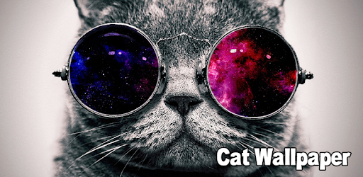 Cat Wallpaper PC screenshot