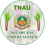 Sugarcane Expert System icon