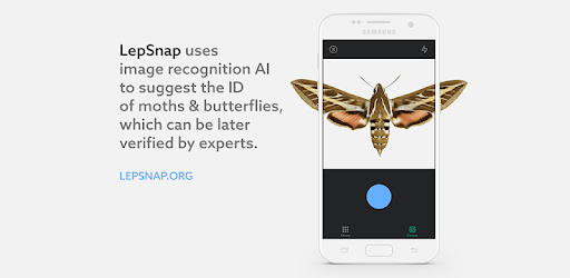 Leps by Fieldguide PC screenshot