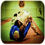 Judo techniques icon