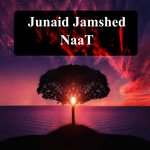 Junaid Jamshed Naat Audio icon