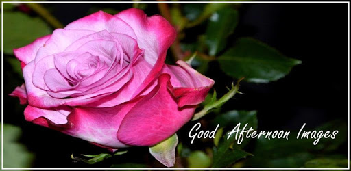 Good Afternoon Images * PC screenshot Good Afternoon Images * PC screenshot