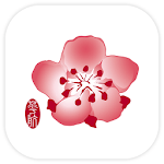 China Airlines App icon