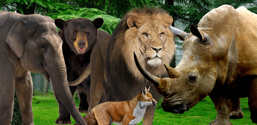 Animal Planet - 3D, VR, 360 PC screenshot