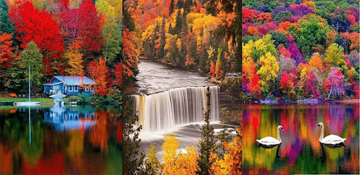 Amazing Nature PC screenshot