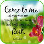 Bible Quotes Daily icon