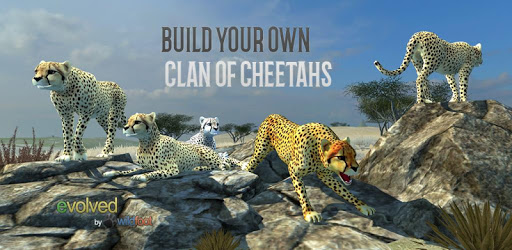 Clan of Cheetahs PC screenshot