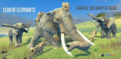 Clan of Elephant PC screenshot Clan of Elephant PC screenshot