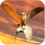 Clan of Owl icon