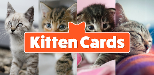 Kitten Cards PC screenshot Kitten Cards PC screenshot