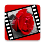 Love videos for PC Love videos for PC