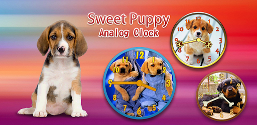 Sweet Puppy Analog Clock PC screenshot Sweet Puppy Analog Clock PC screenshot