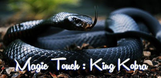 Magic Touch Cobra Attack PC screenshot