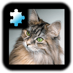 Jigsaw Puzzle: Cat icon