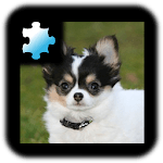 Jigsaw Puzzle: Puppy for PC