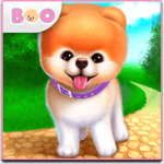 Boo - The World's Cutest Dog icon
