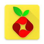 Raspberry Pi Projects DIY icon