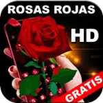 Rosas Rojas Bonitas y Naturales en HD Gratis icon