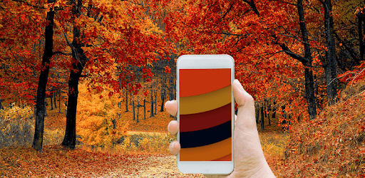 Chameleon Colorize Color Adapting Live Wallpaper PC screenshot Chameleon Colorize Color Adapting Live Wallpaper PC screenshot