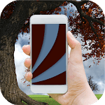 Chameleon Colorize Color Adapting Live Wallpaper icon