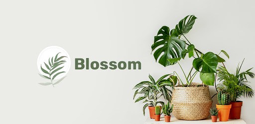 Blossom - Plant Identification app PC screenshot Blossom - Plant Identification app PC screenshot