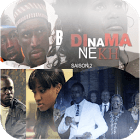 Senegalese Series for PC