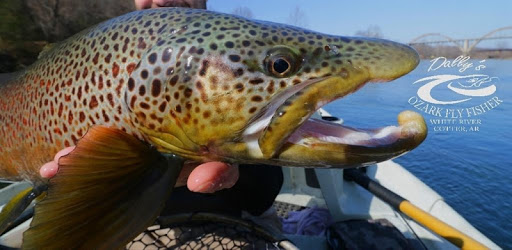 White River Fly Fishing PC screenshot White River Fly Fishing PC screenshot