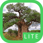 eTrees of Southern Africa Lite for PC