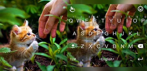 Cute Kitten Keyboard Theme PC screenshot