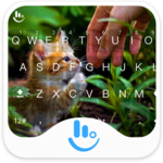 Cute Kitten Keyboard Theme for PC