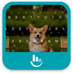 Welsh Corgi Keyboard Theme for PC