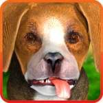 Animated dog beagle icon
