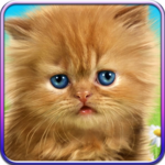 Talking baby cat. icon