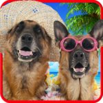 Talking dogs. for PC Talking dogs. for PC