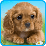 Talking puppy icon